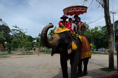 写真:タイ・バンコクと古都アユタヤ1日観光